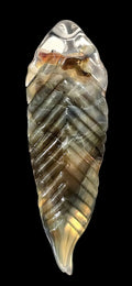 Glass Feather Pendant